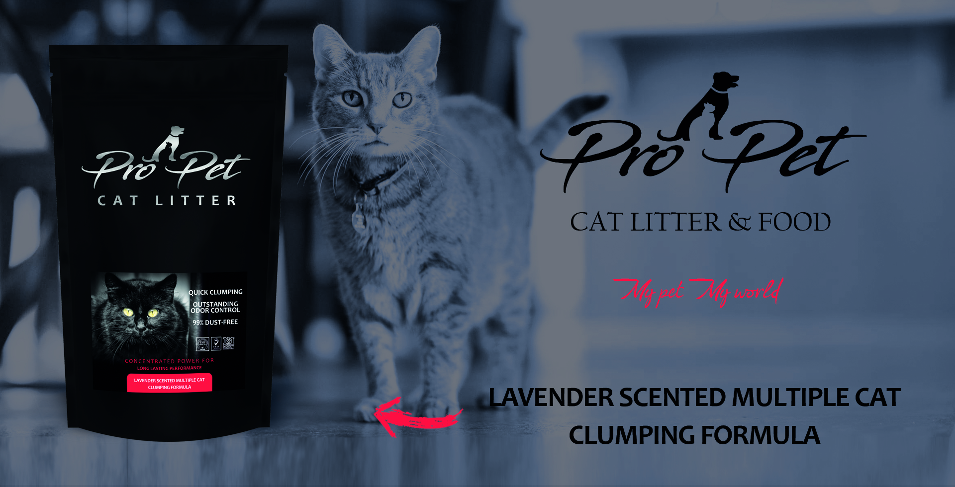 Laavender fragrance for several cats