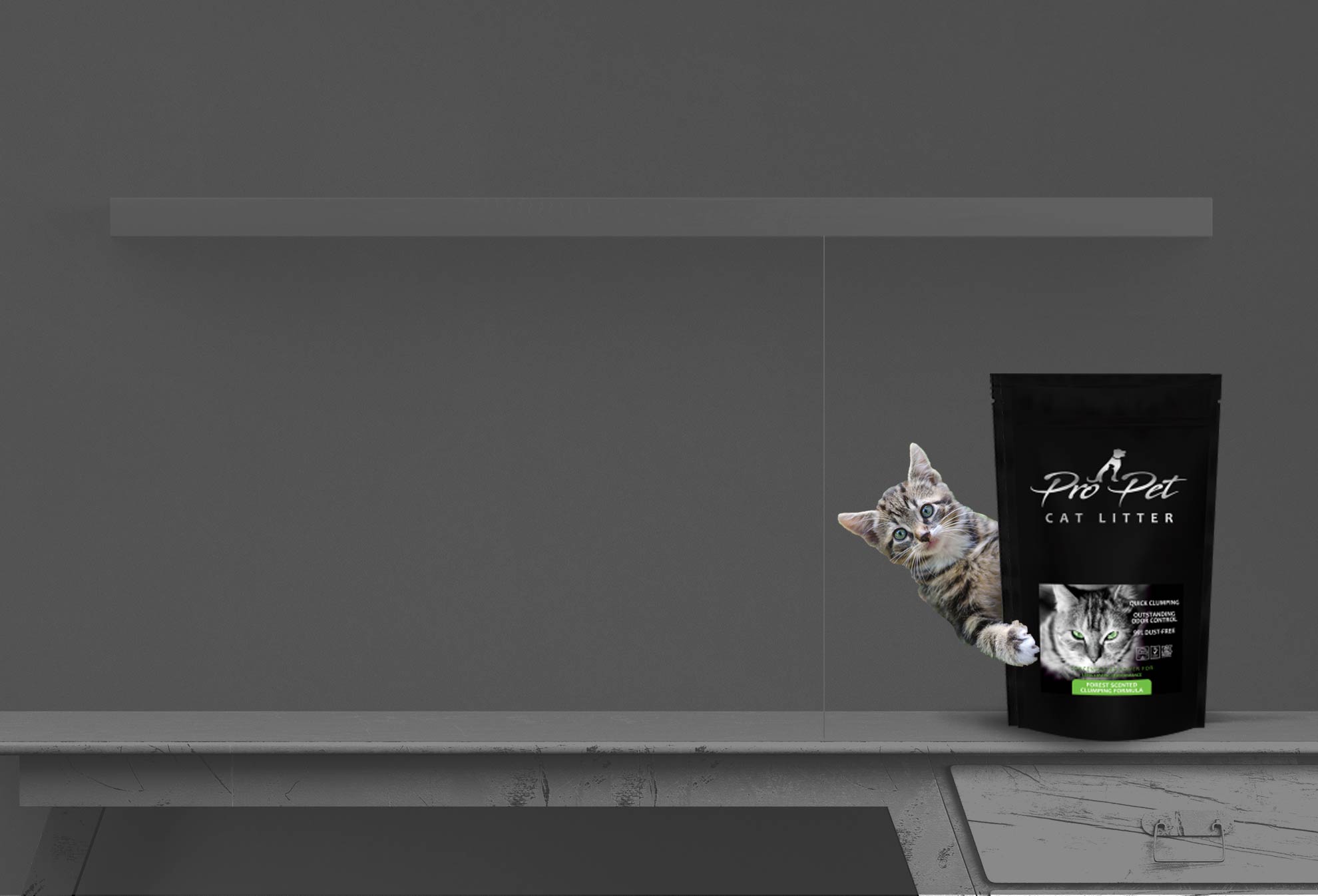 پروپت کت لیتر